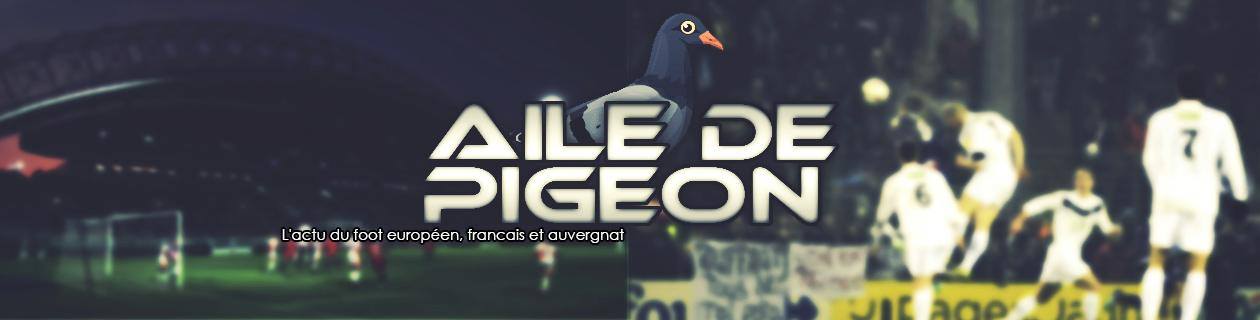 Aile de Pigeon